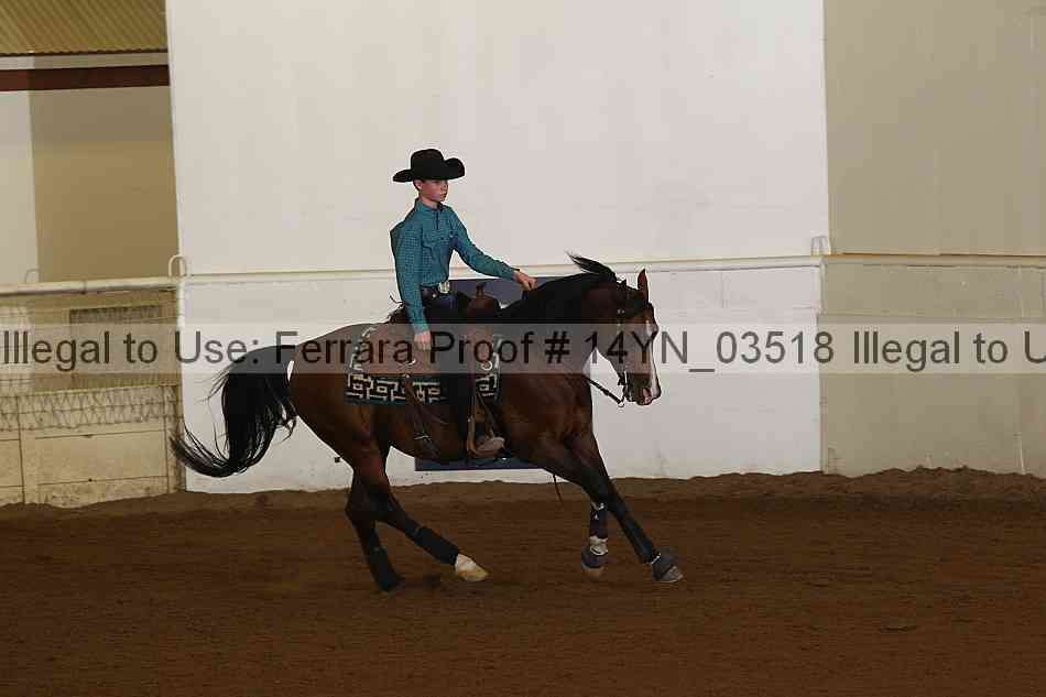 Proof 14yn_03518