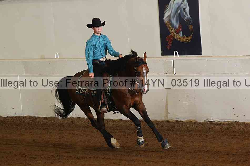 Proof 14yn_03519