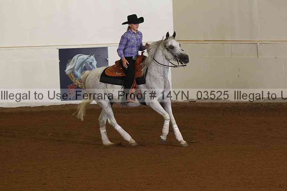 Proof 14yn_03525