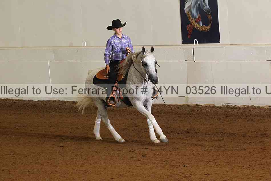 Proof 14yn_03526