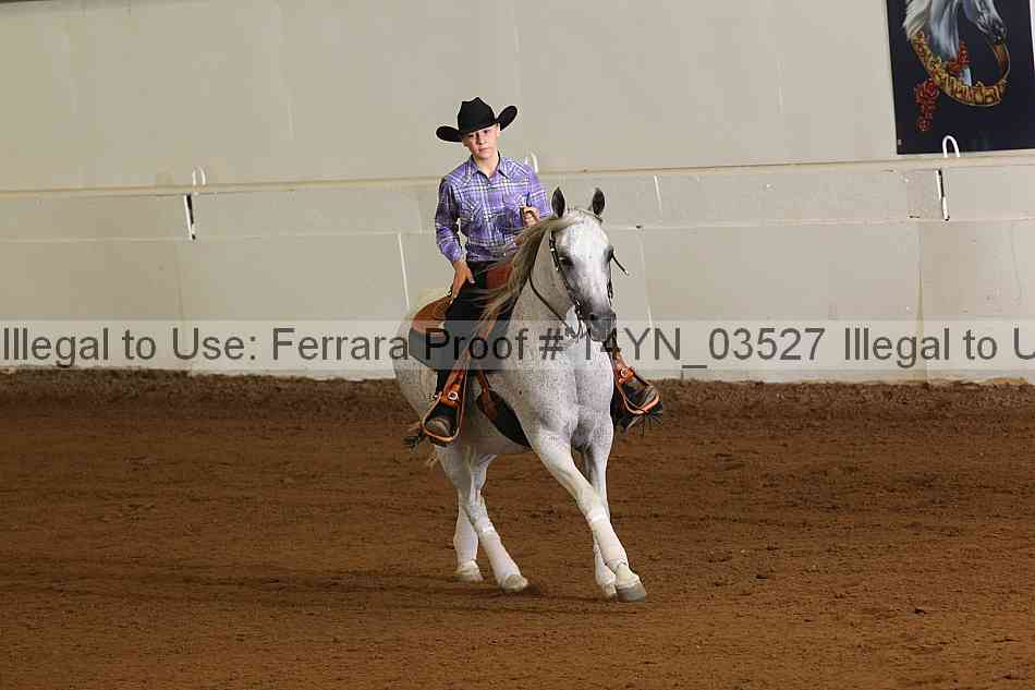 Proof 14yn_03527