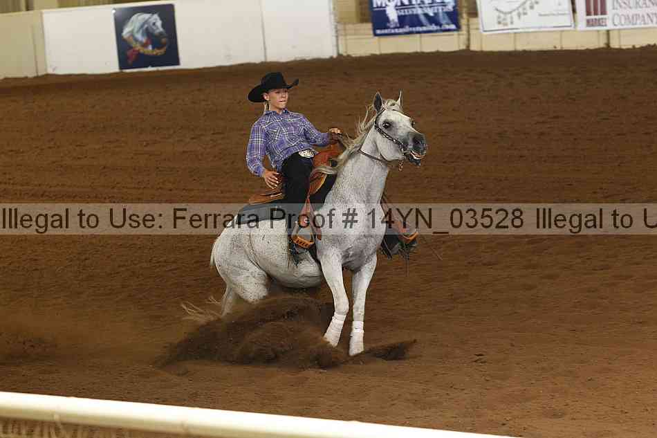 Proof 14yn_03528