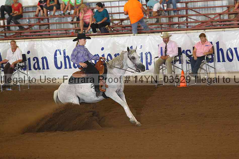 Proof 14yn_03529