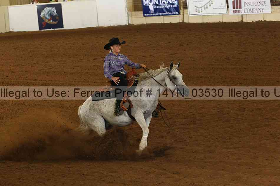 Proof 14yn_03530