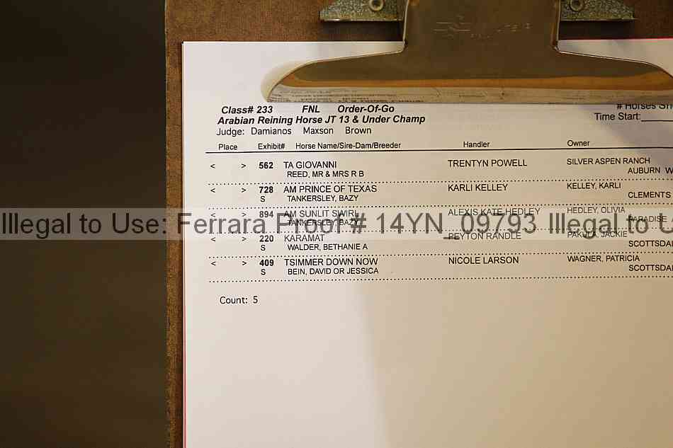 Proof 14yn_09793