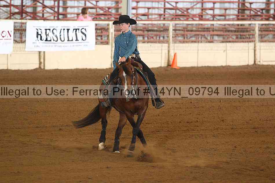 Proof 14yn_09794