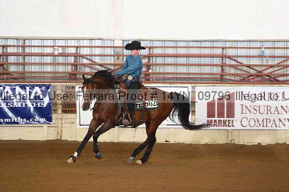 Proof 14yn_09796