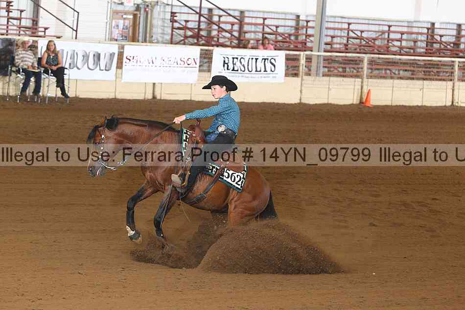 Proof 14yn_09799