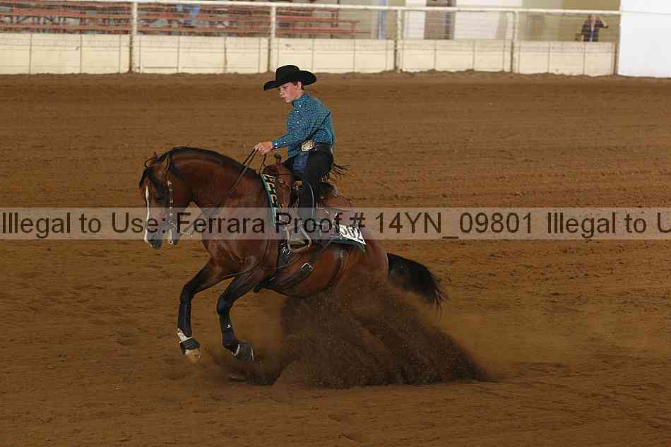 Proof 14yn_09801
