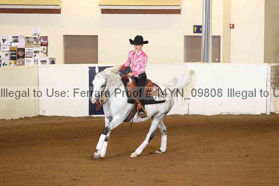 Proof 14yn_09808