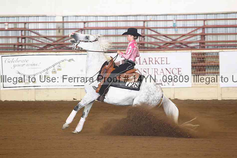 Proof 14yn_09809
