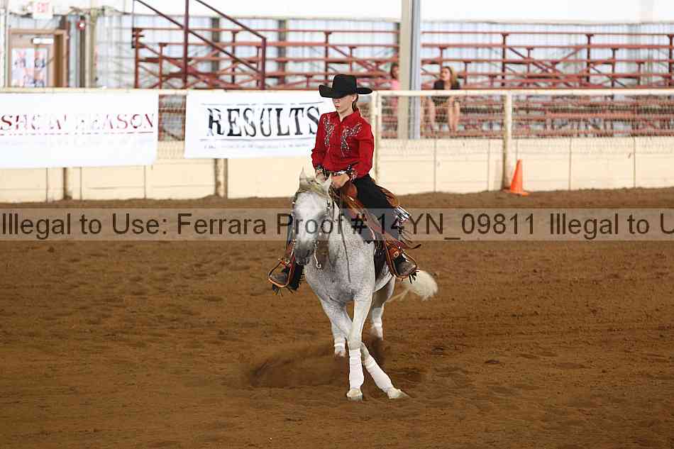 Proof 14yn_09811