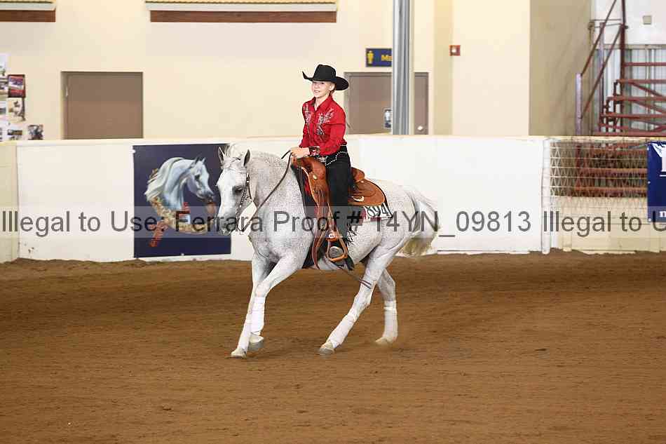 Proof 14yn_09813