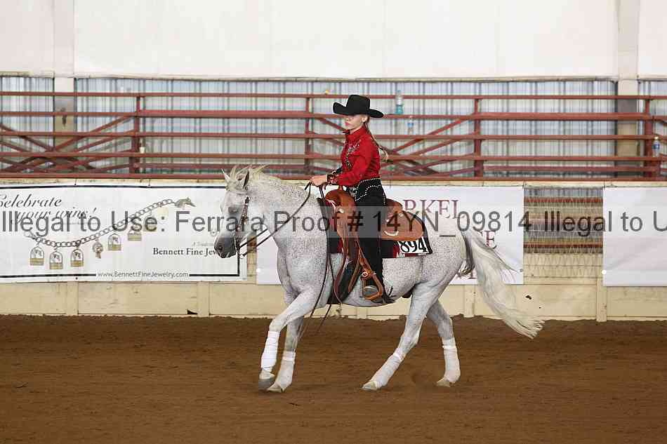 Proof 14yn_09814