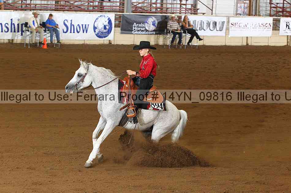 Proof 14yn_09816