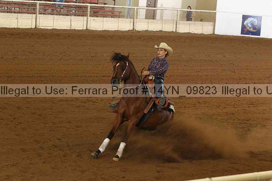 Proof 14yn_09823