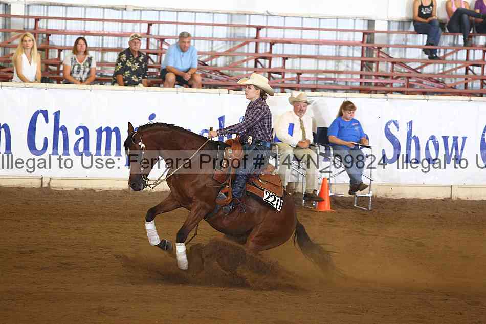 Proof 14yn_09824