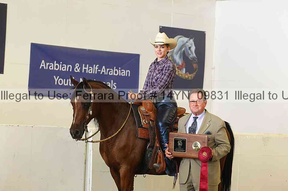 Proof 14yn_09831
