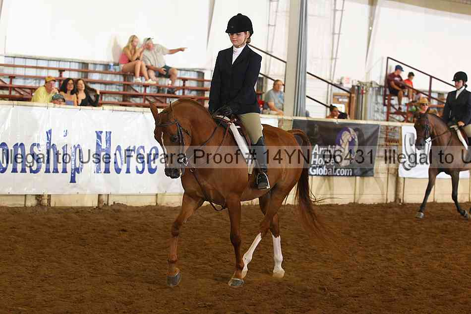 Proof 14yn_06431