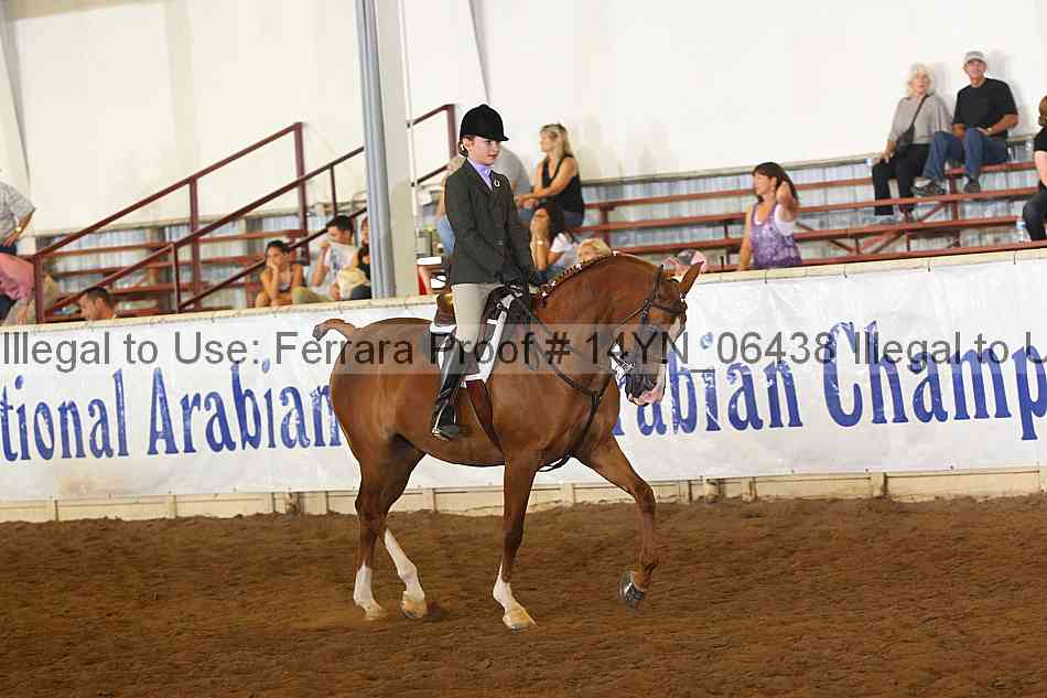Proof 14yn_06438