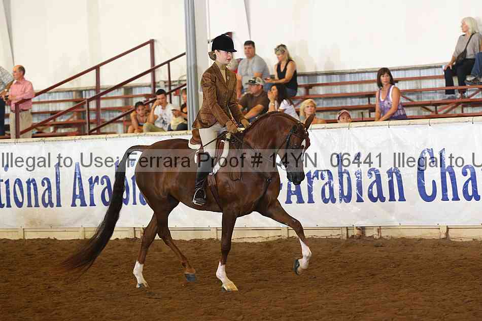 Proof 14yn_06441
