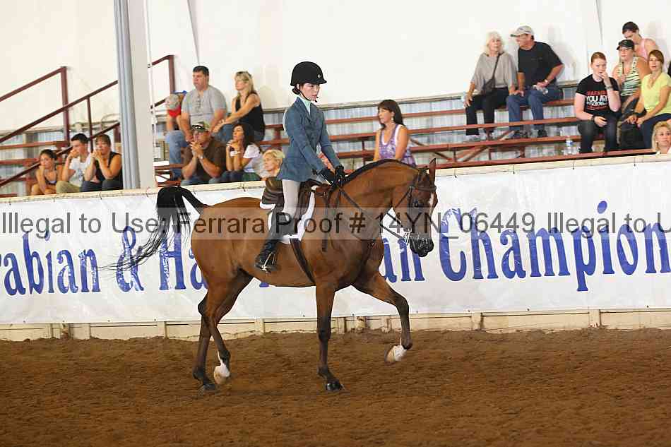 Proof 14yn_06449
