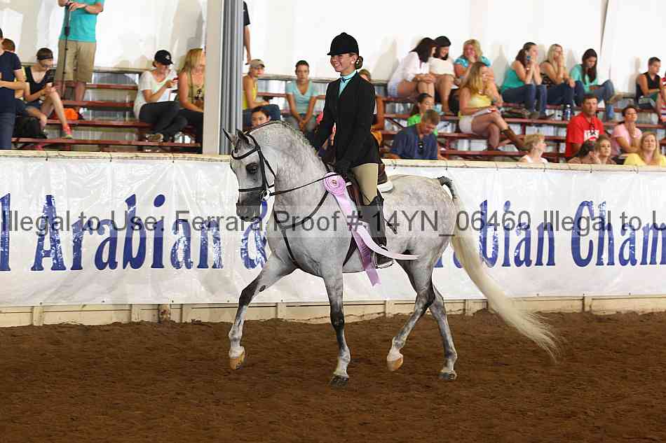 Proof 14yn_06460