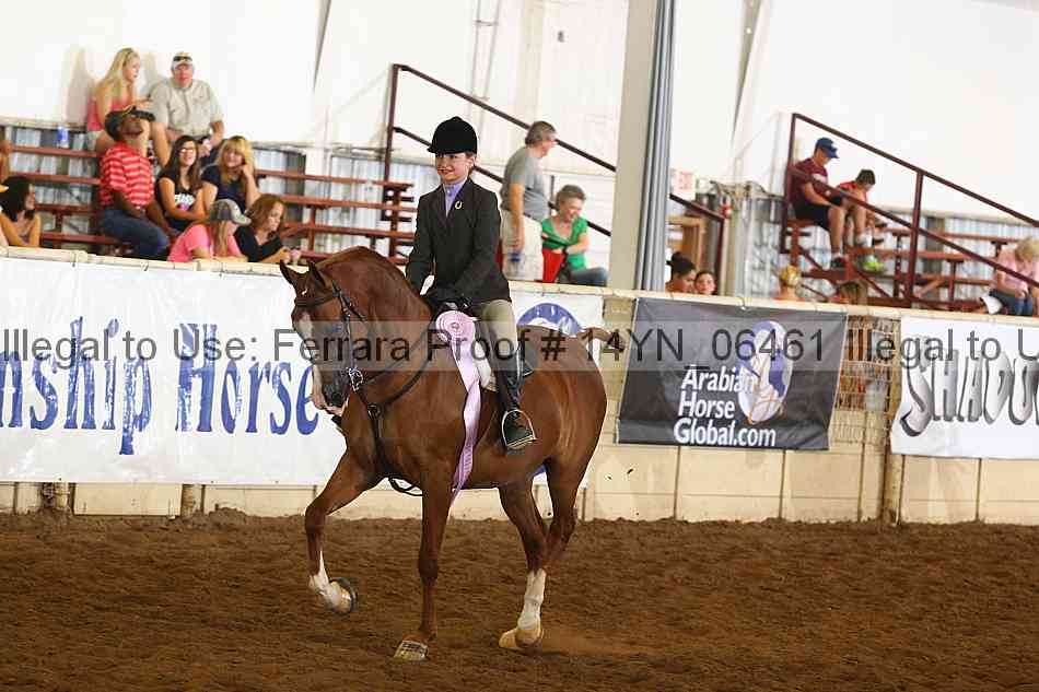 Proof 14yn_06461