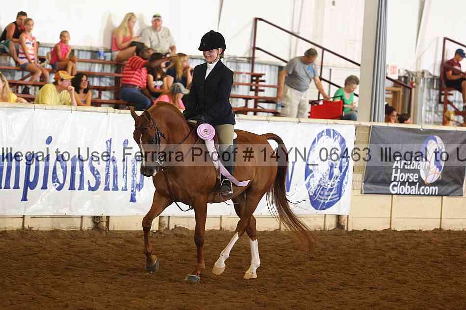Proof 14yn_06463