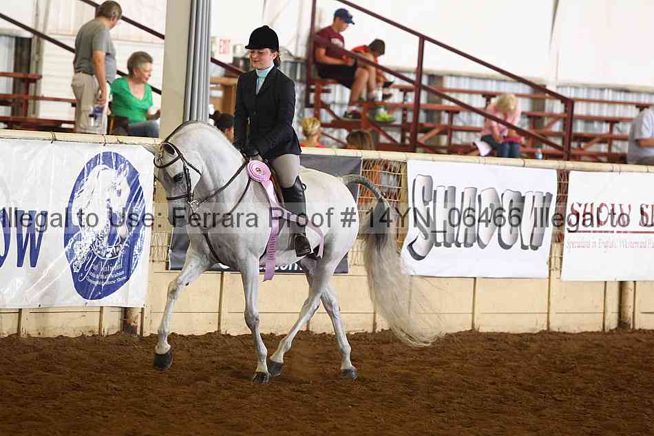 Proof 14yn_06466