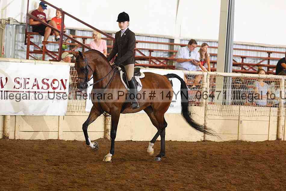Proof 14yn_06471