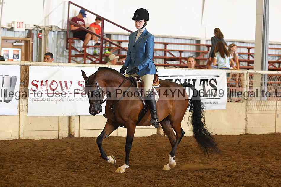 Proof 14yn_06479