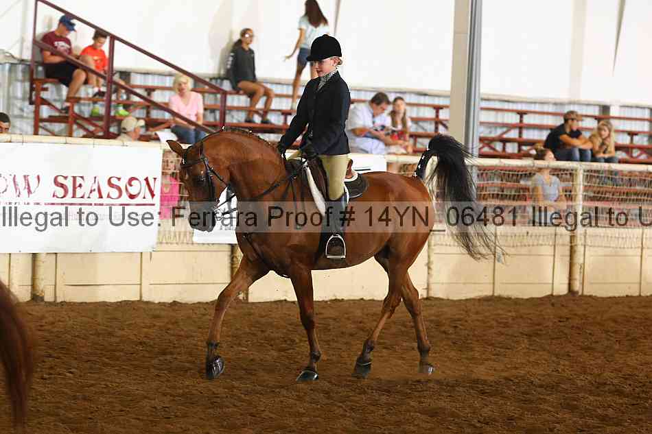 Proof 14yn_06481