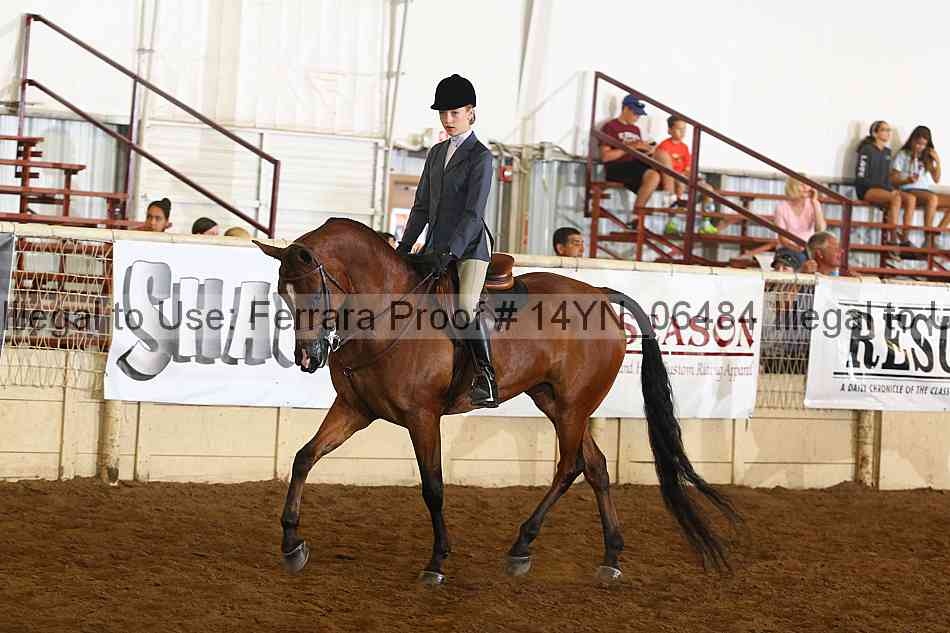 Proof 14yn_06484