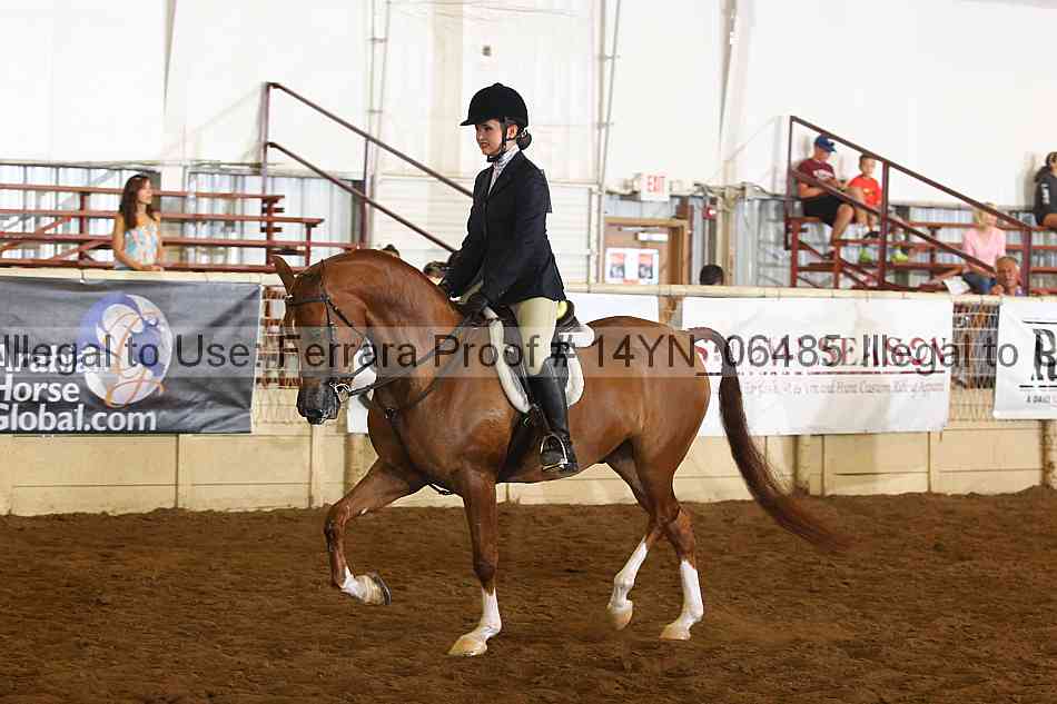 Proof 14yn_06485