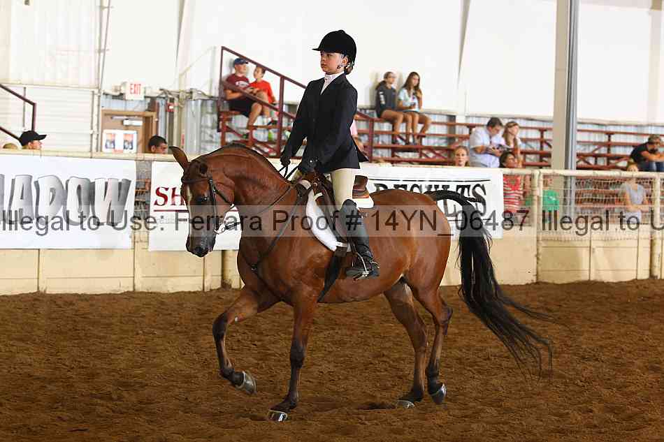 Proof 14yn_06487