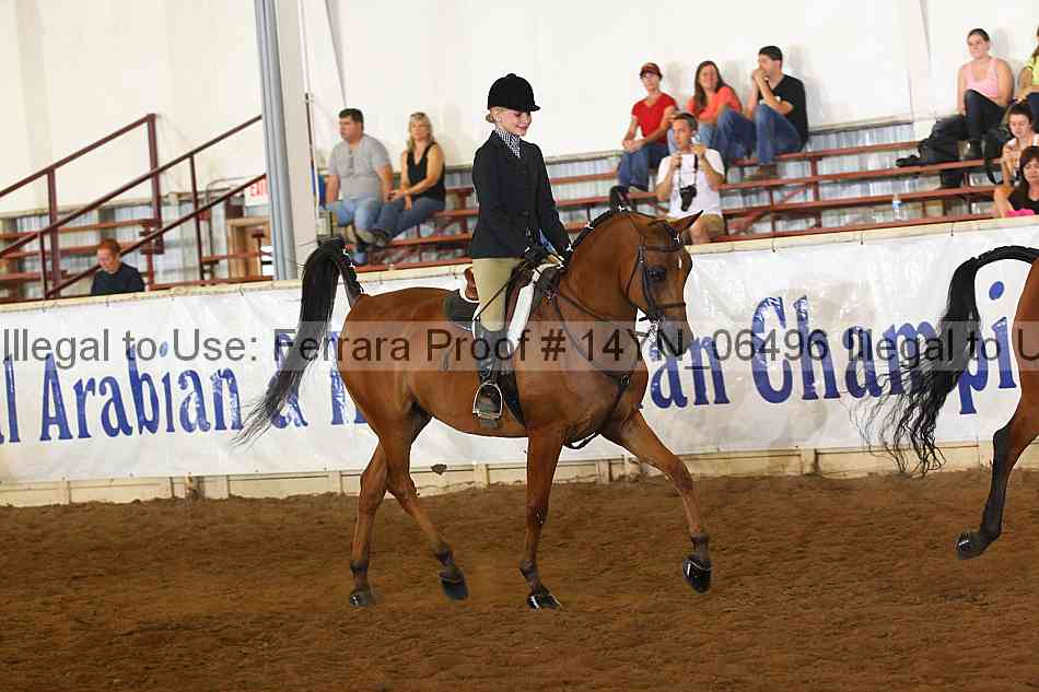 Proof 14yn_06496