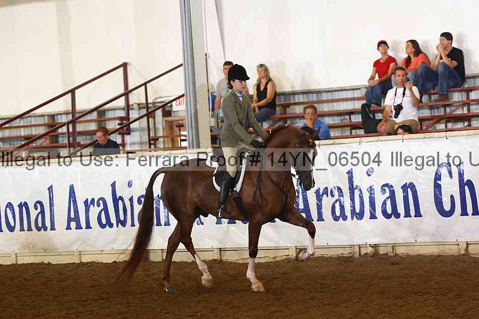 Proof 14yn_06504