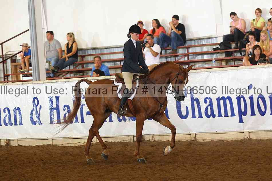 Proof 14yn_06506