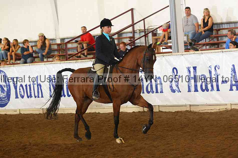 Proof 14yn_06510