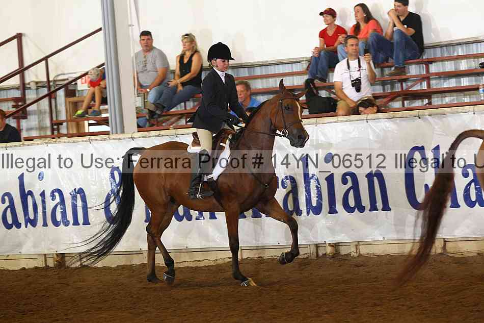 Proof 14yn_06512