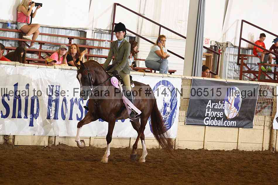 Proof 14yn_06515