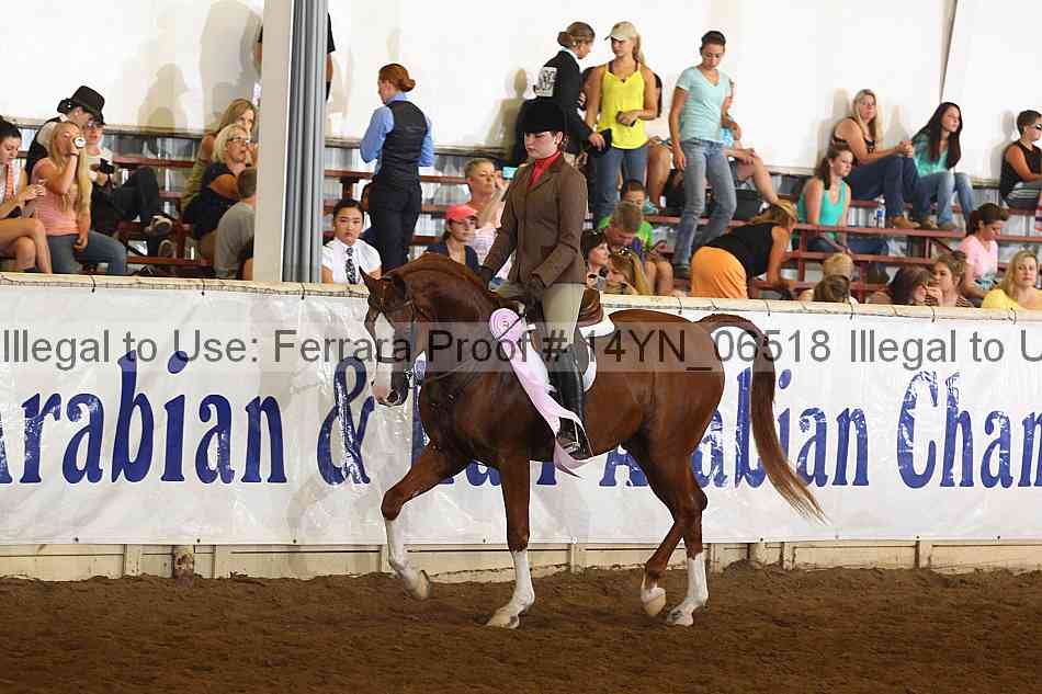 Proof 14yn_06518