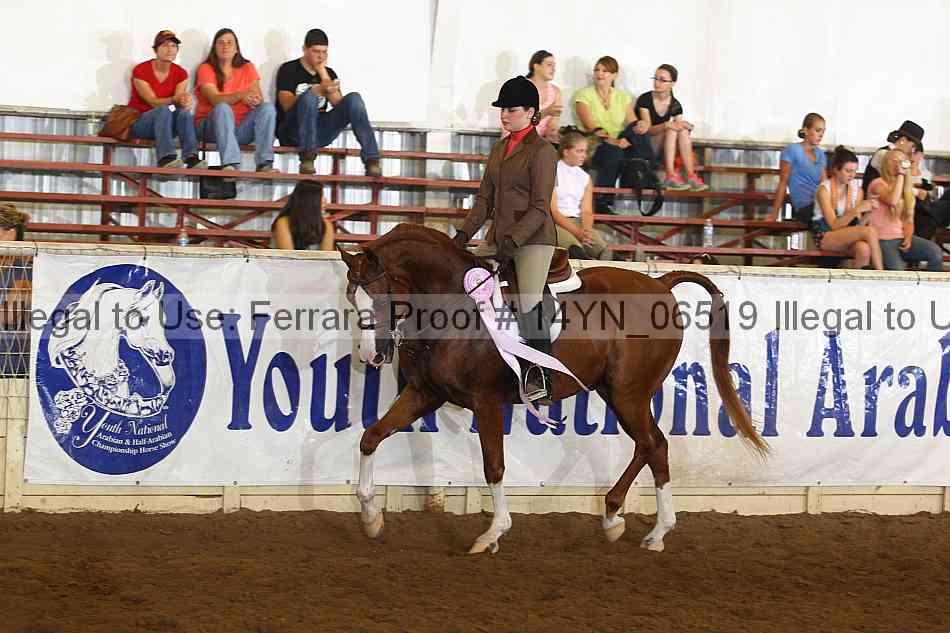 Proof 14yn_06519