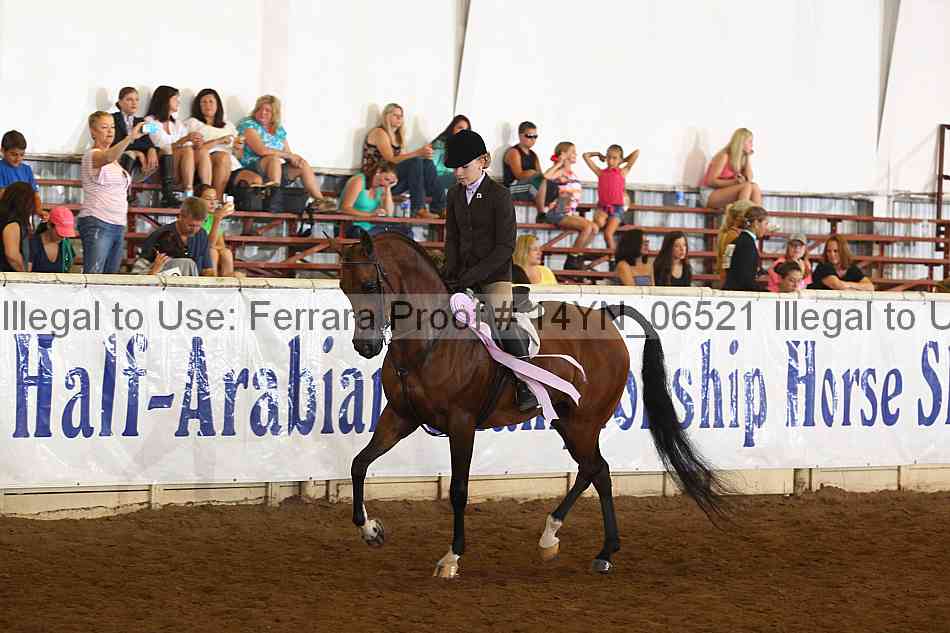 Proof 14yn_06521