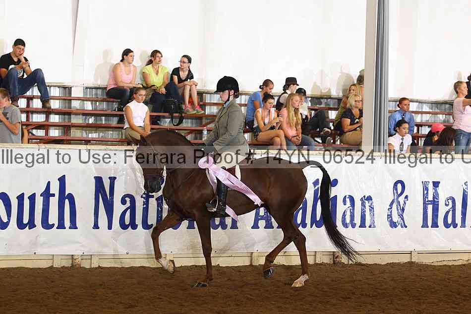 Proof 14yn_06524