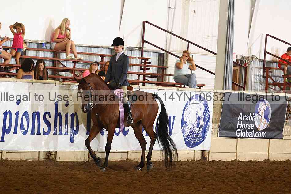 Proof 14yn_06527