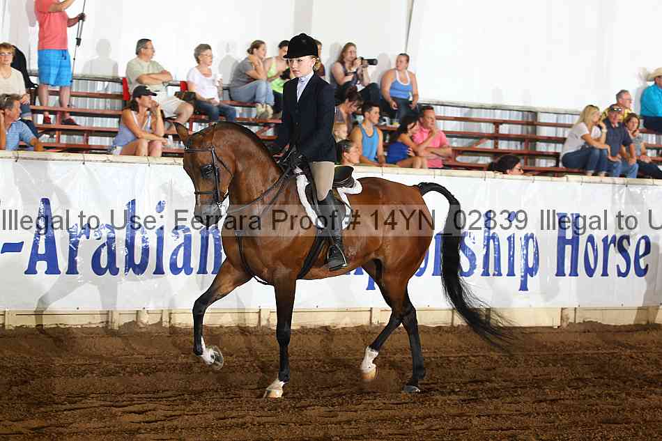 Proof 14yn_02839