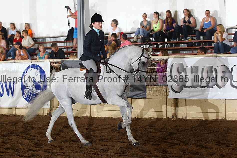 Proof 14yn_02865