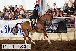 14yn_02866 proof
